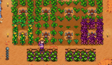 ワイルド１年目秋 Stardew Valley個人的攻略記録