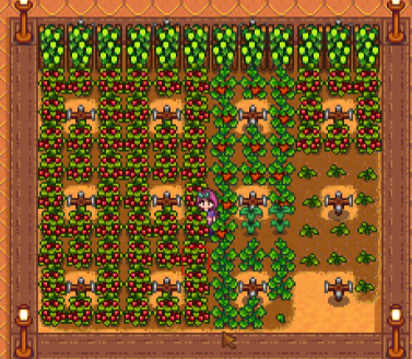 ワイルド１年目冬 Stardew Valley個人的攻略記録