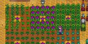 スタンダード２年目夏 Stardew Valley個人的攻略記録