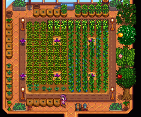スタンダード２年目夏 Stardew Valley個人的攻略記録