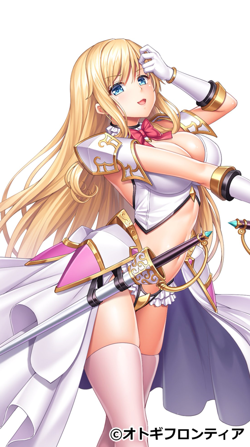 アラミス オトギフロンティア 千花模様 金雀枝のめも帳