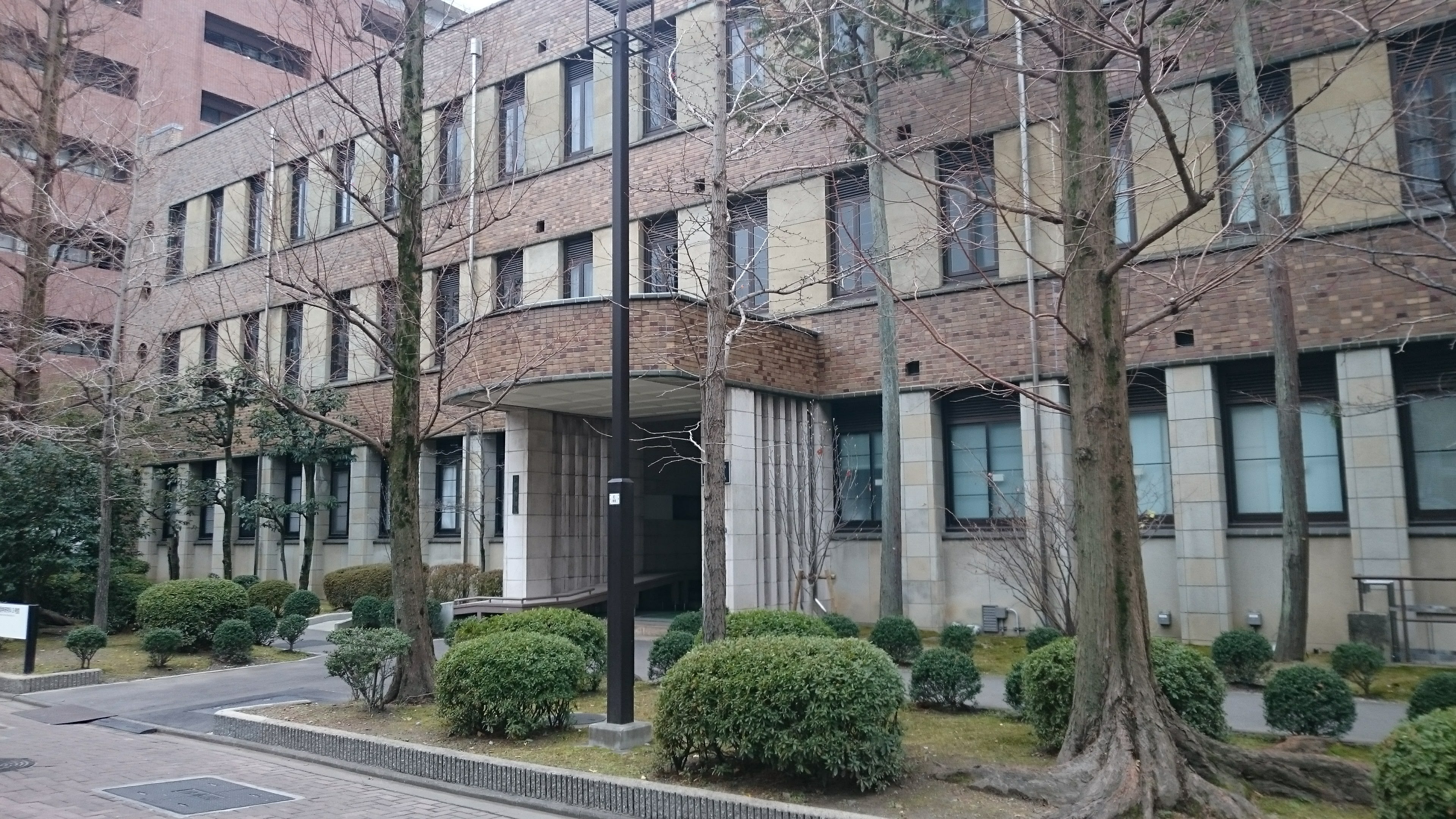 京大理学部