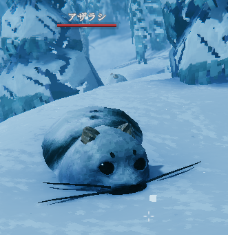 アザラシ